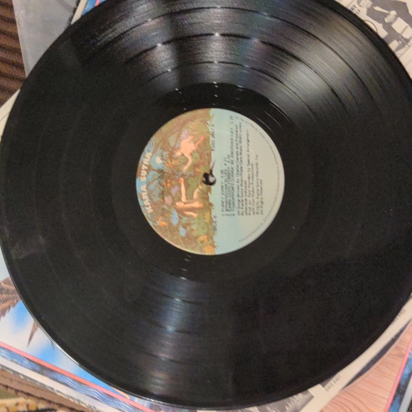 The Charlie Daniels Band 1975 LP Nightrider - Picture 9 of 11